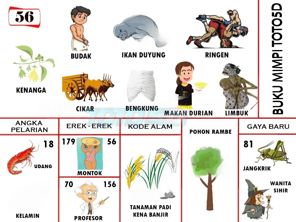 buku mimpi erek erek togel 56